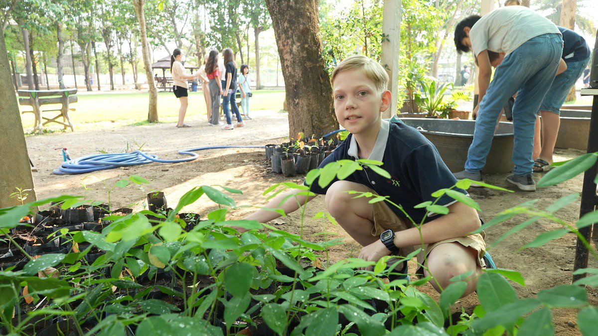 Good Practice in den Auslandsschulen: Das Projekt „Bäume für die Zukunft” in Chiang Mai cover